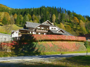 Apartments Pod macesnovo streho Solčava